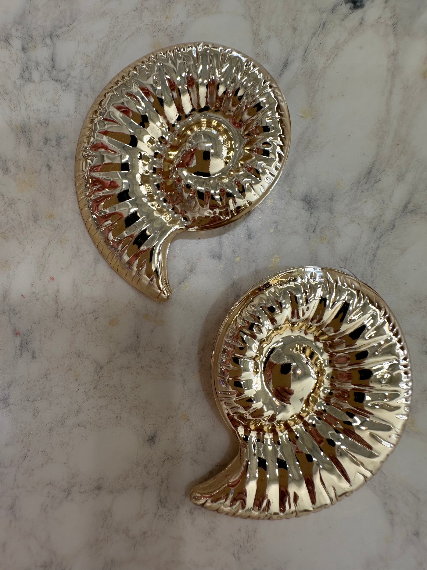 Sea Conch Studs