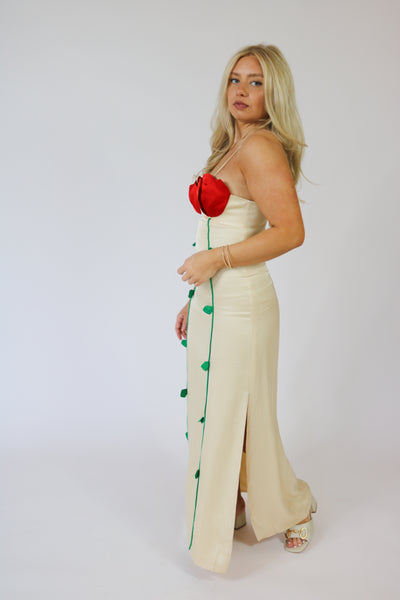 Rose Detailed Dress